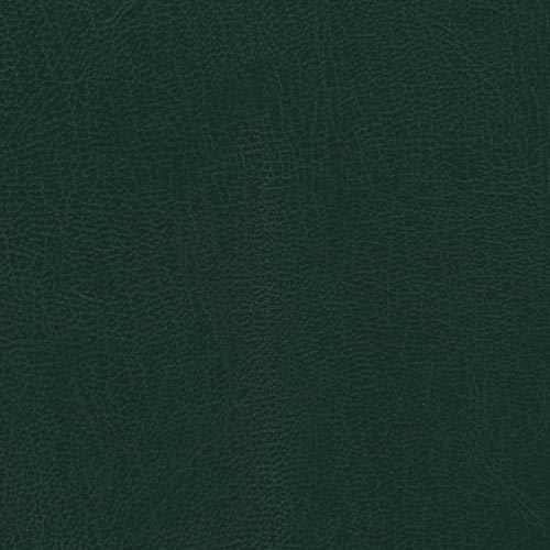 Green Leather Swatch