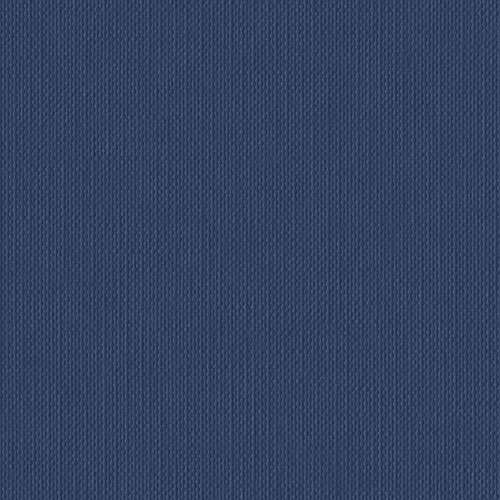 Dark Blue Swatch