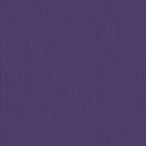 Purple Swatch